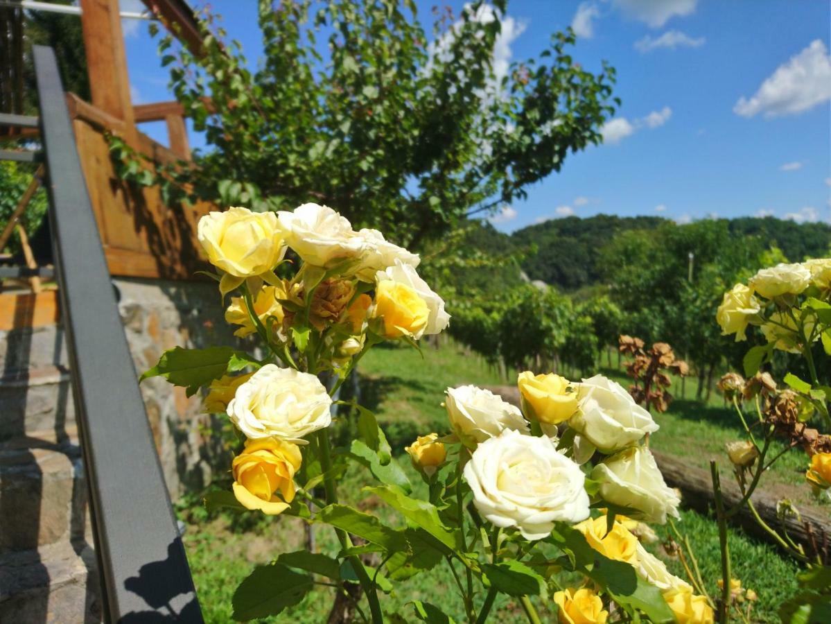 Apartman Rico Klanjec ภายนอก รูปภาพ